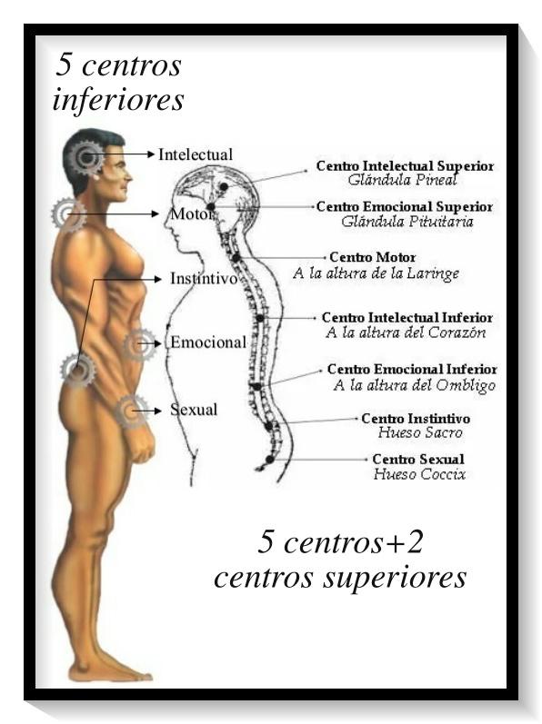 5 2 7 centros maquina humana