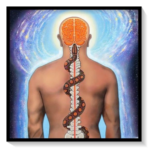 Ascenso kundalini