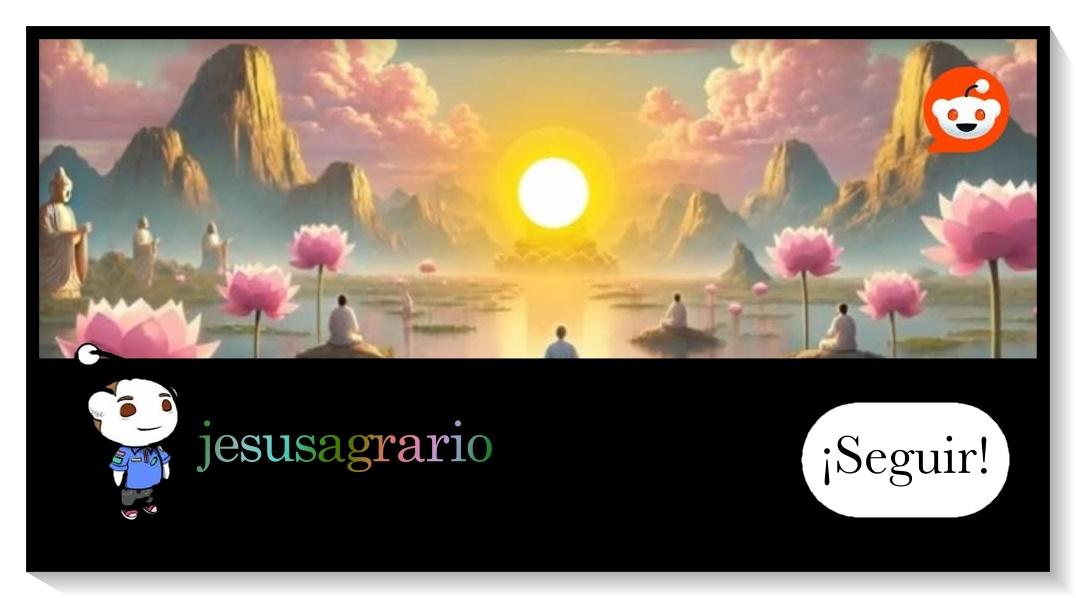 Reddit meditacion sol 1
