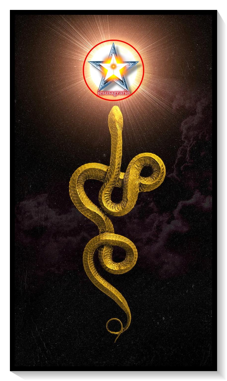 Serpiente luz