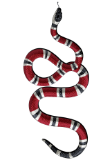 Serpientes