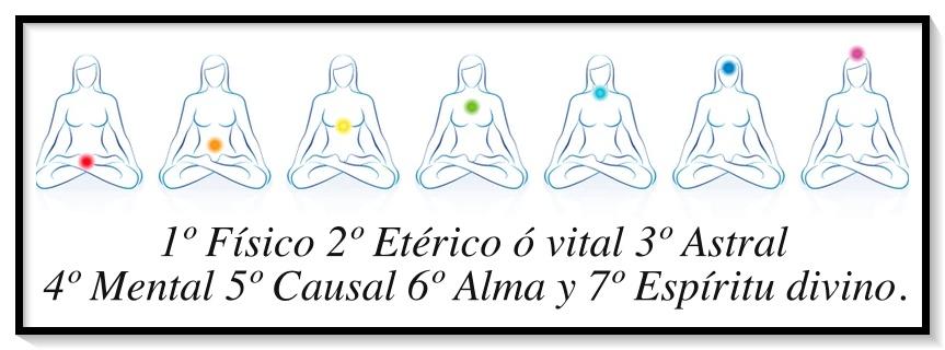 Siete cuerpos