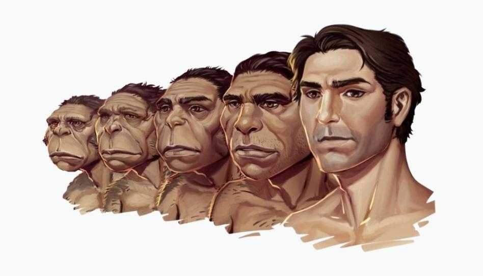 Teoria de la evolucion
